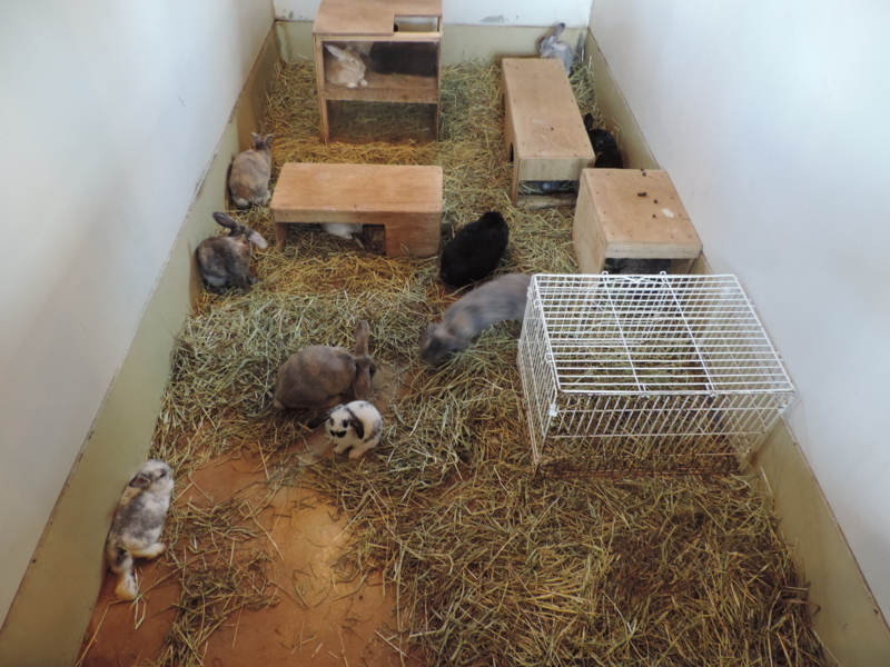 f:id:minato920:20161031203734j:plain f:id:minato920:20161031203734j:plain