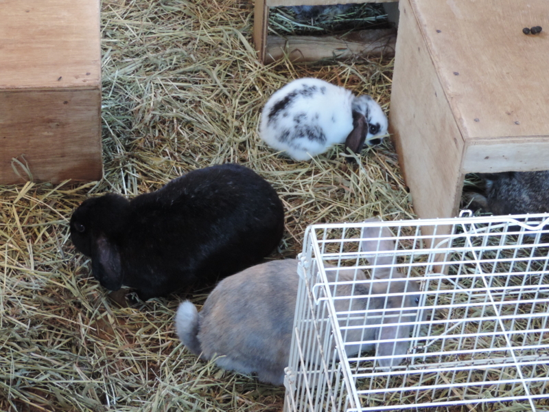 f:id:minato920:20161031203735j:plain f:id:minato920:20161031203735j:plain