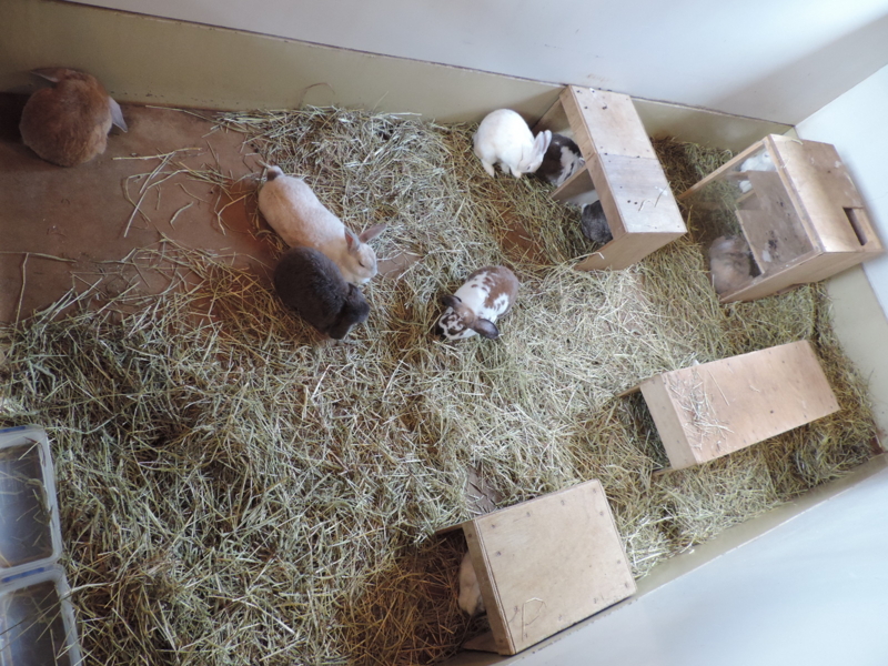 f:id:minato920:20161031203737j:plain f:id:minato920:20161031203737j:plain