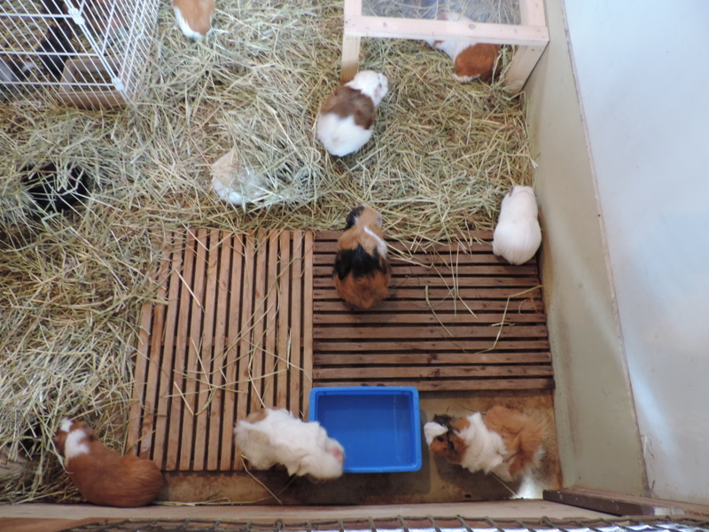 f:id:minato920:20161031203740j:plain f:id:minato920:20161031203740j:plain