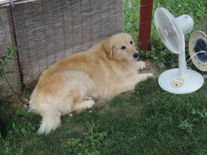 f:id:minato920:20161031203742j:plain f:id:minato920:20161031203742j:plain