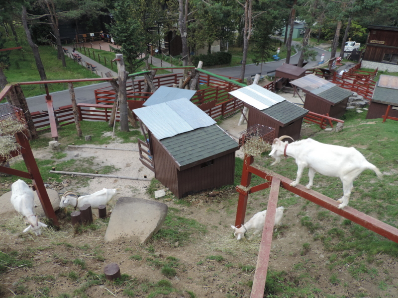 f:id:minato920:20161031203743j:plain f:id:minato920:20161031203743j:plain