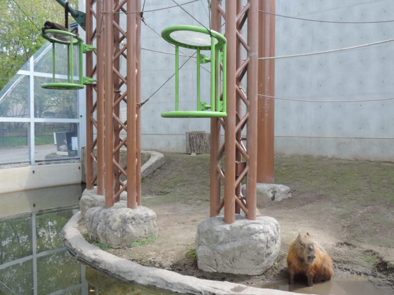 f:id:minato920:20161031203744j:plain f:id:minato920:20161031203744j:plain