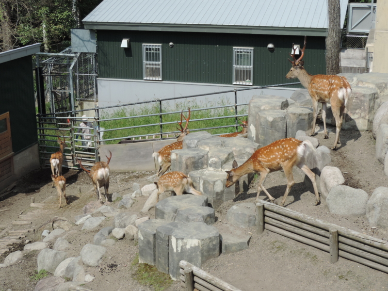 f:id:minato920:20161031203747j:plain f:id:minato920:20161031203747j:plain