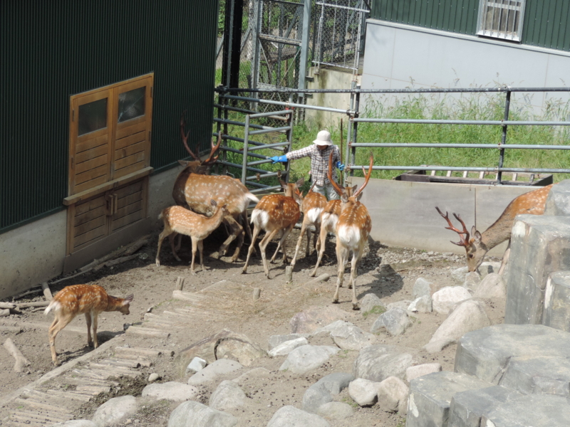 f:id:minato920:20161031203748j:plain f:id:minato920:20161031203748j:plain