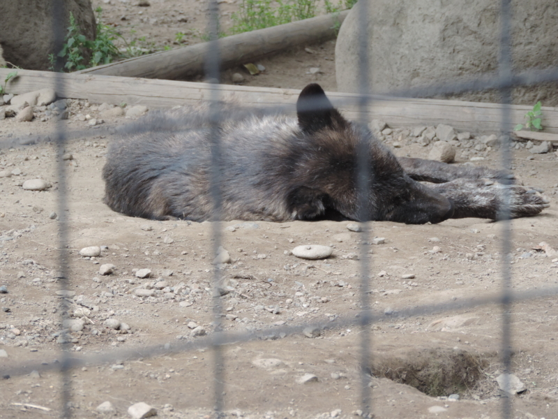 f:id:minato920:20161031203749j:plain f:id:minato920:20161031203749j:plain