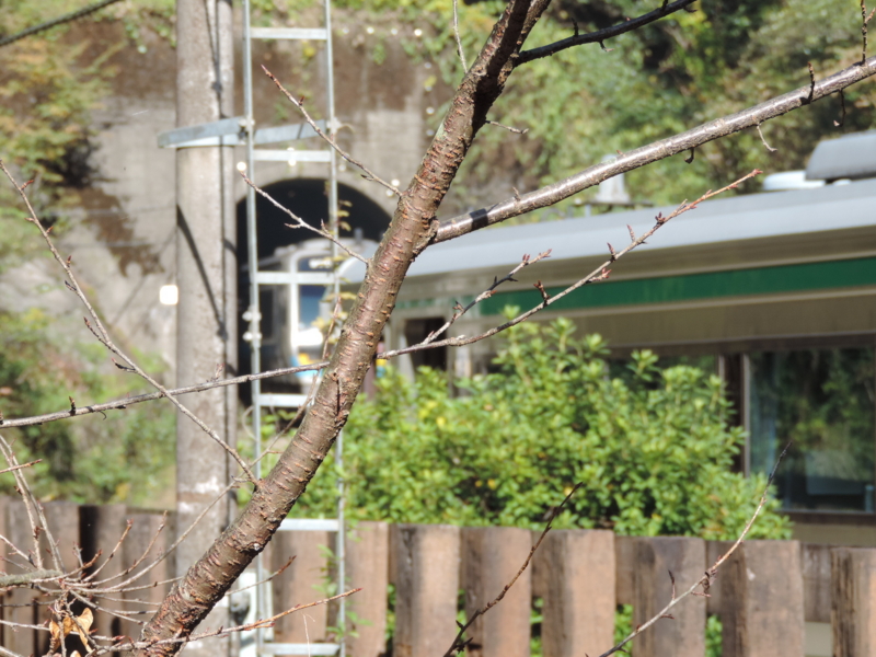 f:id:minato920:20161116075303j:plain