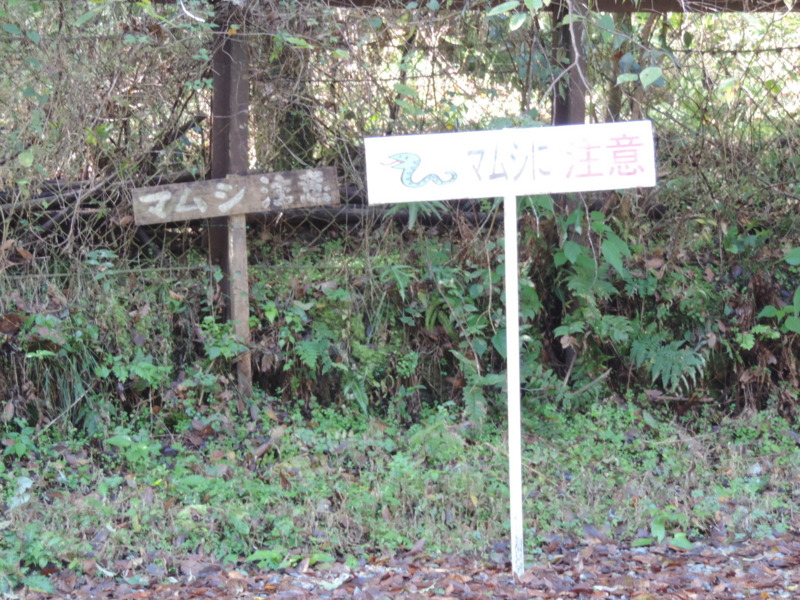 f:id:minato920:20161116075304j:plain