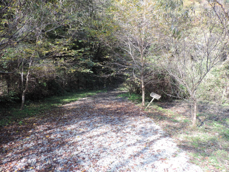 f:id:minato920:20161116075306j:plain