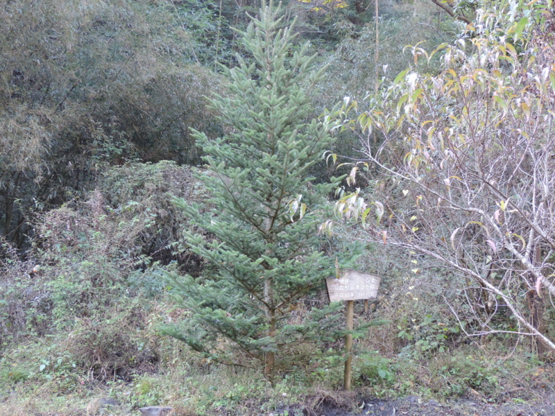 f:id:minato920:20161116075310j:plain