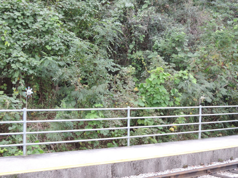 f:id:minato920:20161202062353j:plain