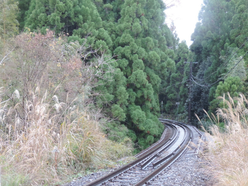 f:id:minato920:20161217082131j:plain f:id:minato920:20161217082131j:plain