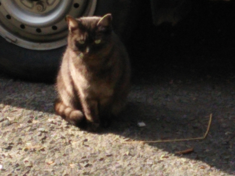 f:id:minato920:20170117231506j:plain