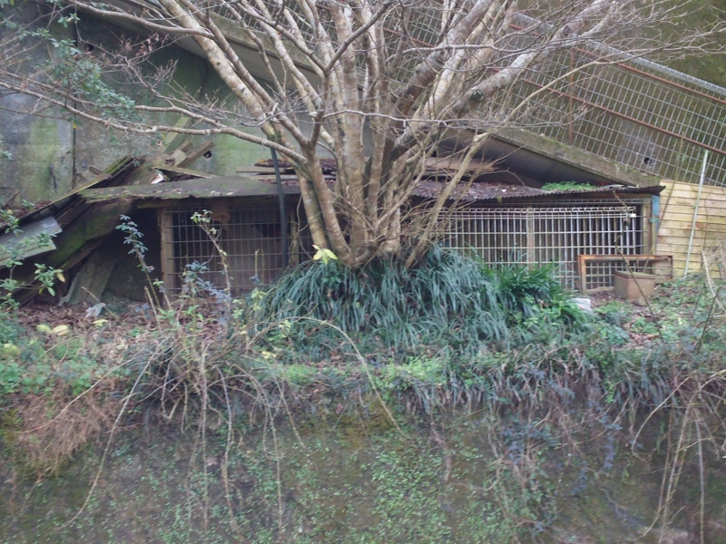 f:id:minato920:20170117231515j:plain