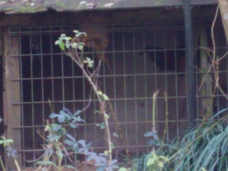 f:id:minato920:20170117231516j:plain