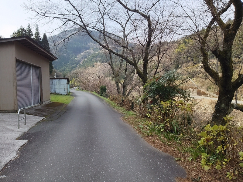 f:id:minato920:20170117231520j:plain