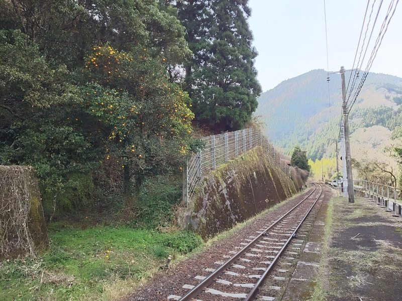 f:id:minato920:20170117231526j:plain