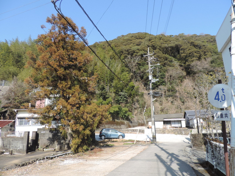 f:id:minato920:20170129065036j:plain