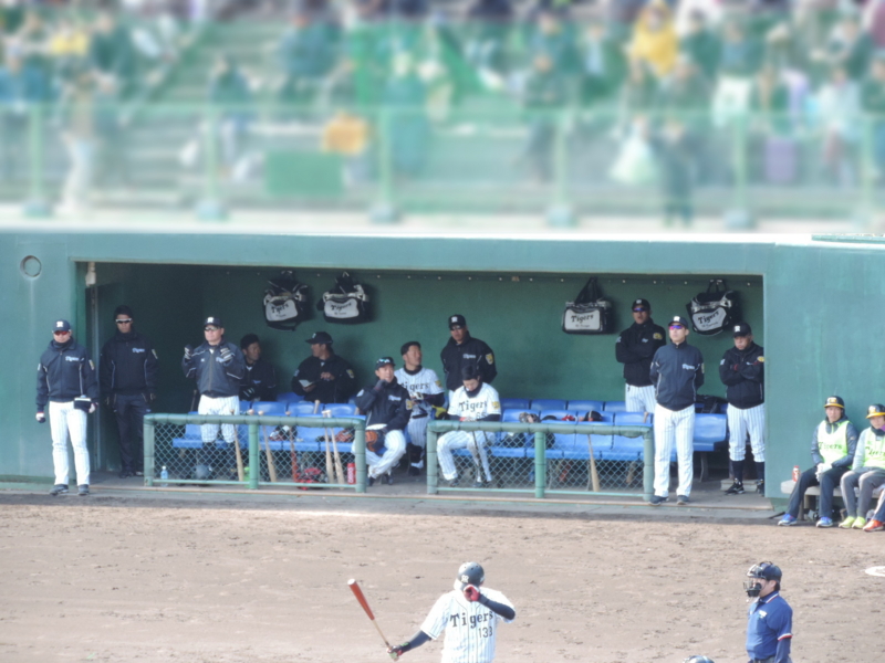 f:id:minato920:20170212181239j:plain