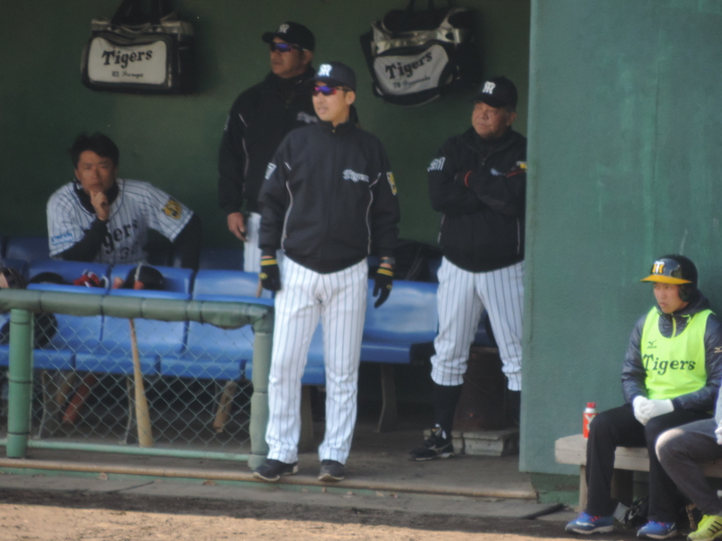 f:id:minato920:20170212181240j:plain