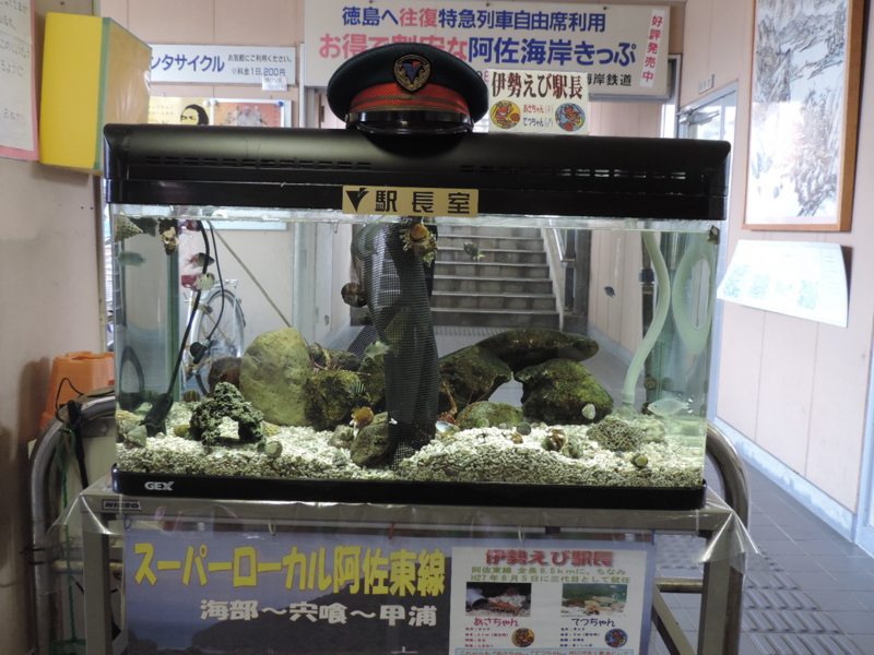 f:id:minato920:20170225062417j:plain