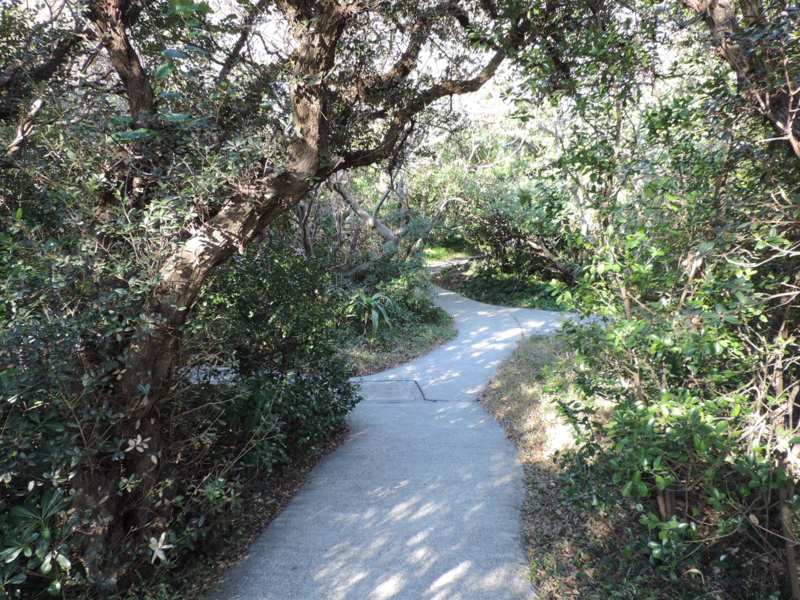 f:id:minato920:20170225062456j:plain