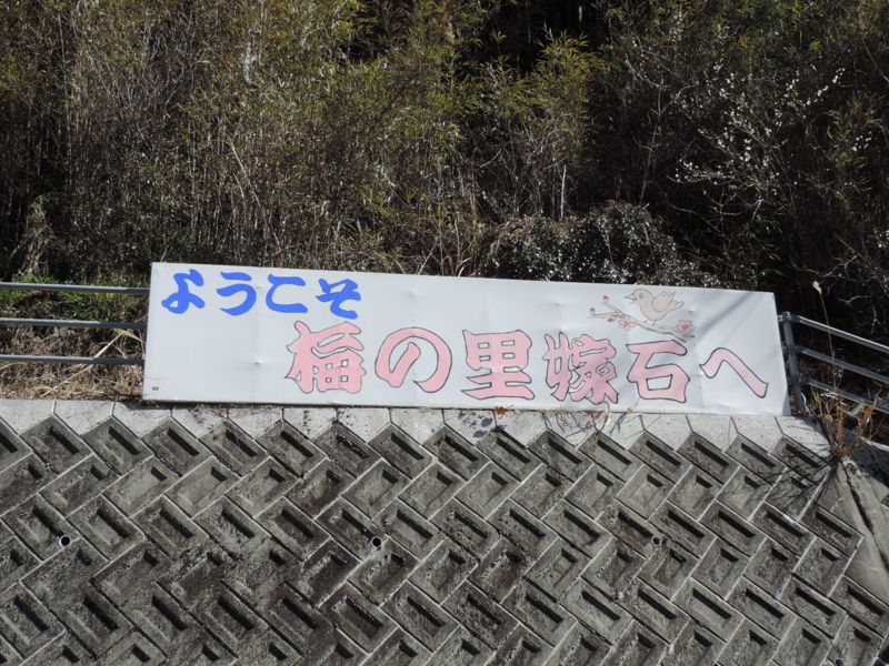 f:id:minato920:20170304143306j:plain