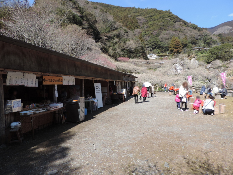 f:id:minato920:20170304143308j:plain