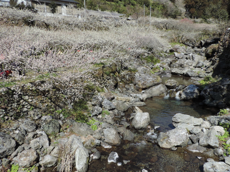 f:id:minato920:20170304143322j:plain