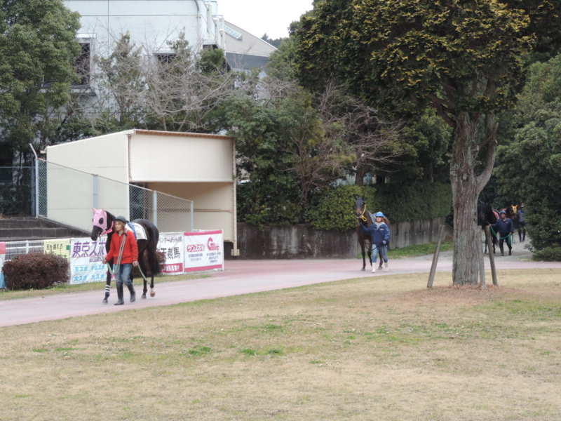 f:id:minato920:20170306061441j:plain