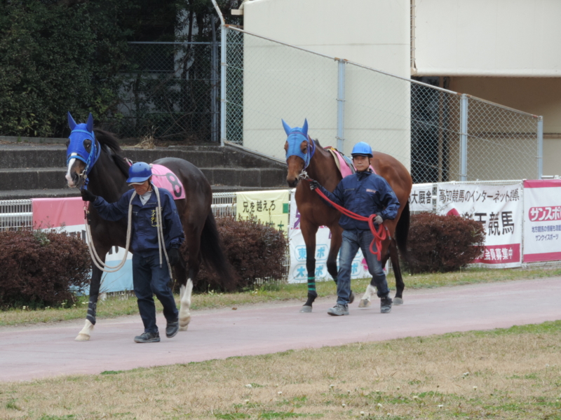 f:id:minato920:20170306061442j:plain