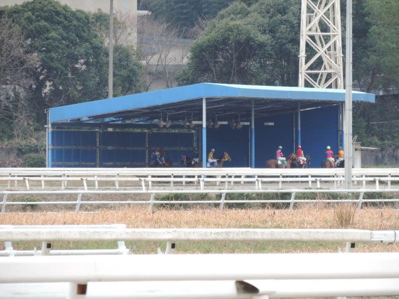 f:id:minato920:20170306061447j:plain