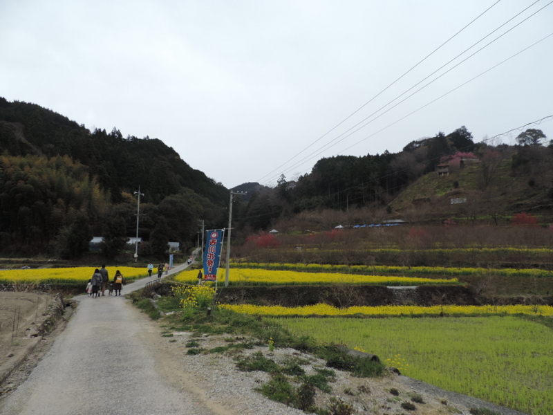 f:id:minato920:20170327085925j:plain