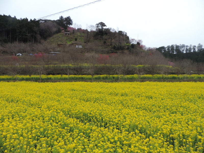 f:id:minato920:20170327085926j:plain