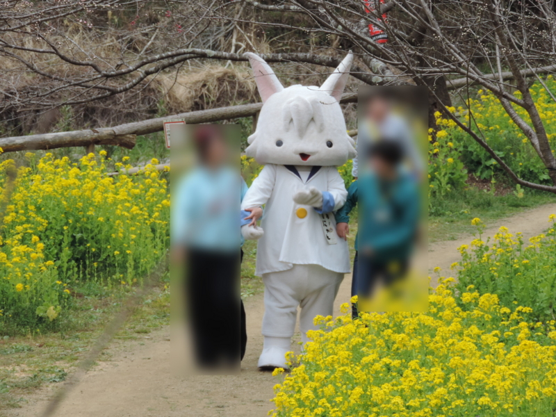 f:id:minato920:20170327085943j:plain