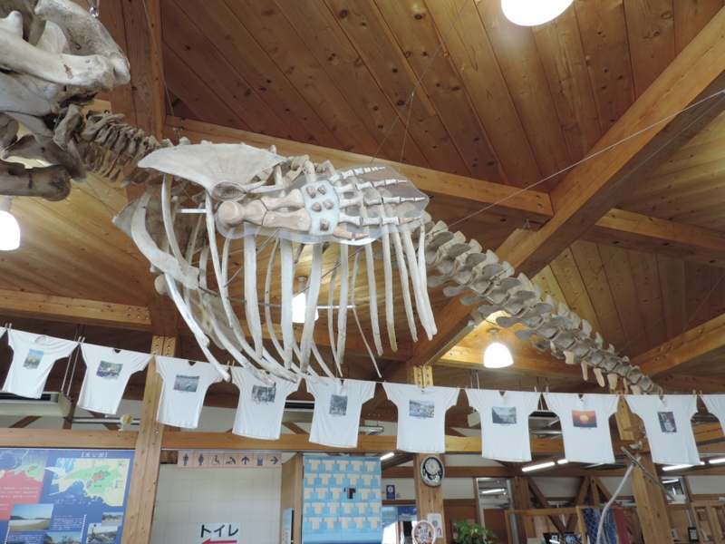 f:id:minato920:20170410211445j:plain