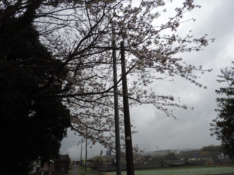 f:id:minato920:20170410211447j:plain