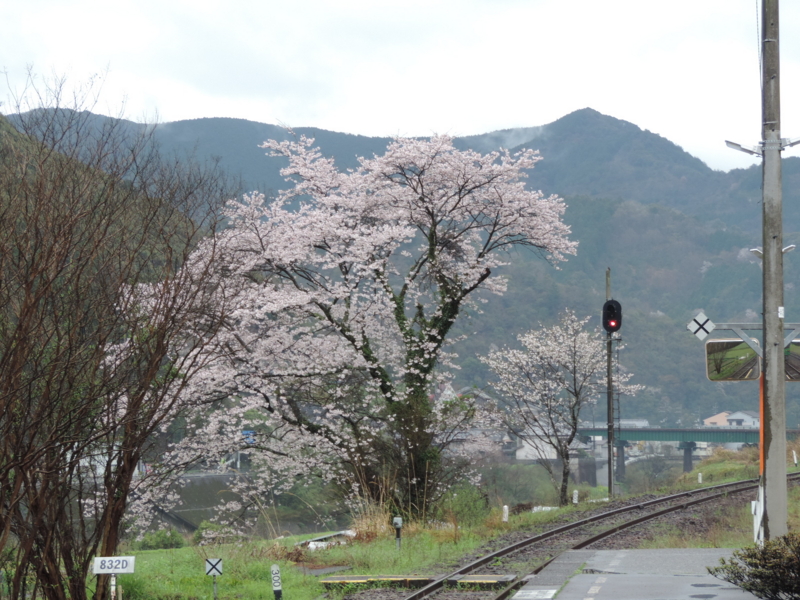 f:id:minato920:20170508204926j:plain f:id:minato920:20170508204926j:plain