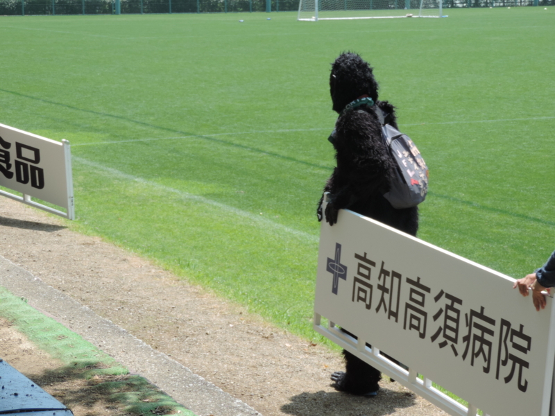 f:id:minato920:20170515122402j:plain