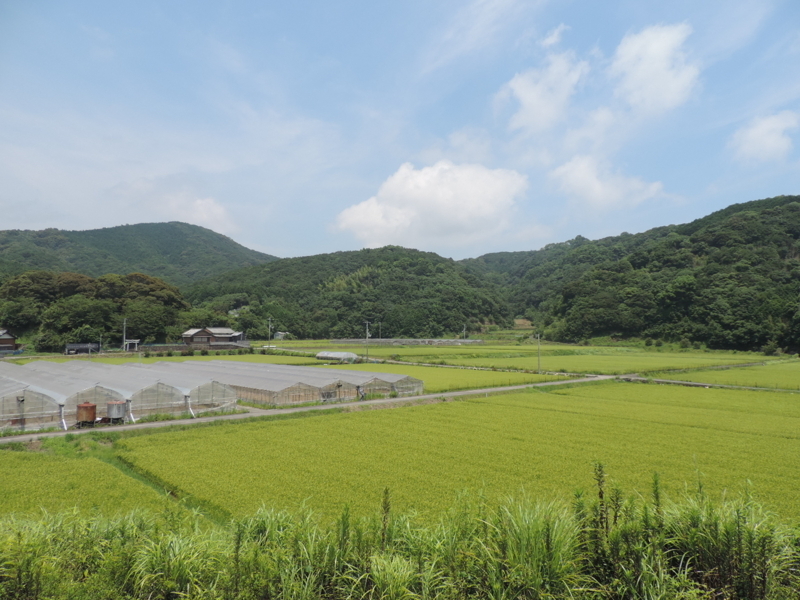 f:id:minato920:20170801071724j:plain