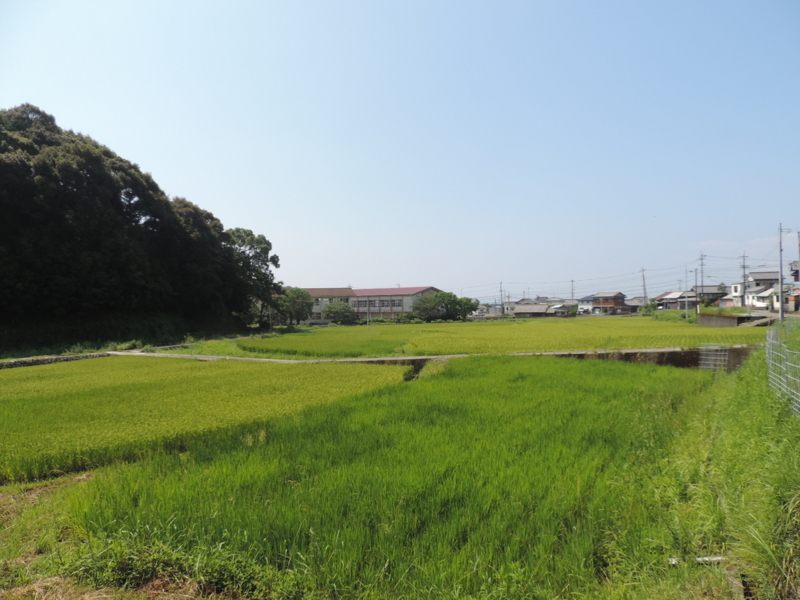 f:id:minato920:20170806093050j:plain