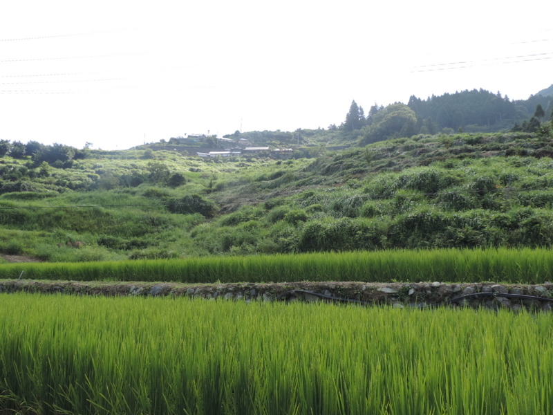 f:id:minato920:20170814134549j:plain