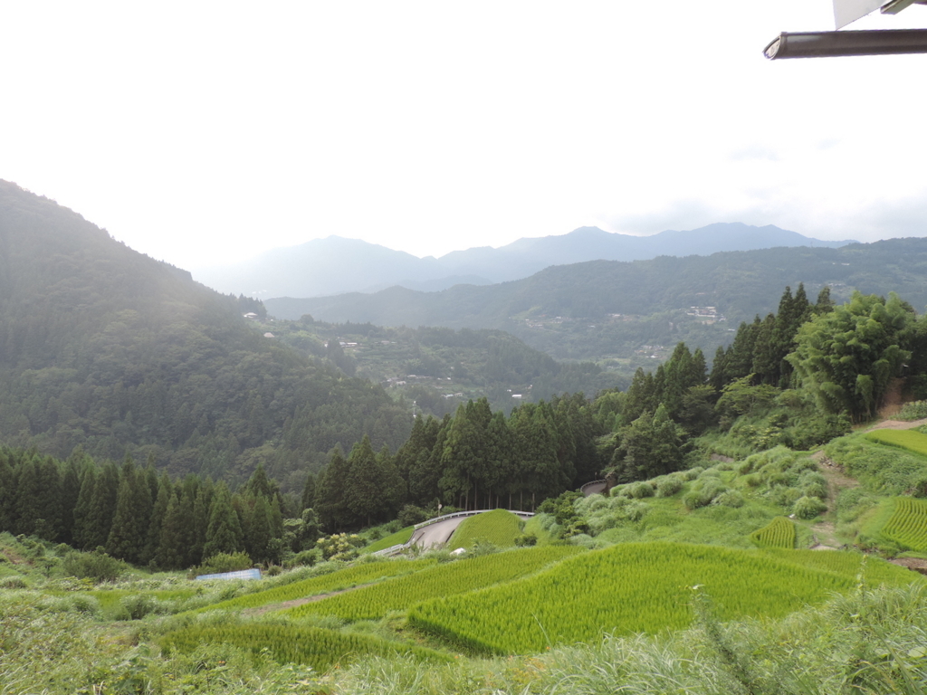 f:id:minato920:20170814144906j:plain