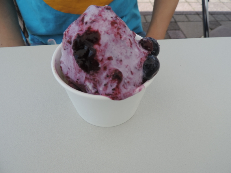 f:id:minato920:20170819094629j:plain