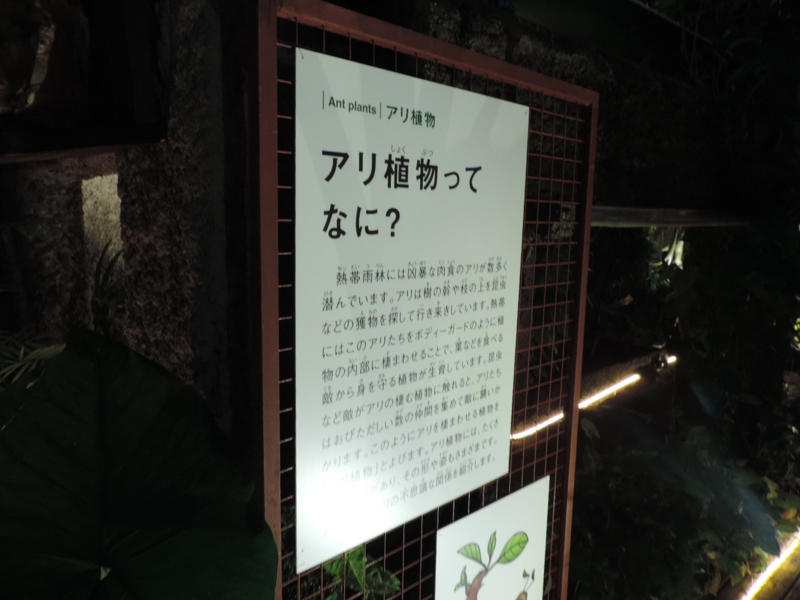 f:id:minato920:20170820091046j:plain