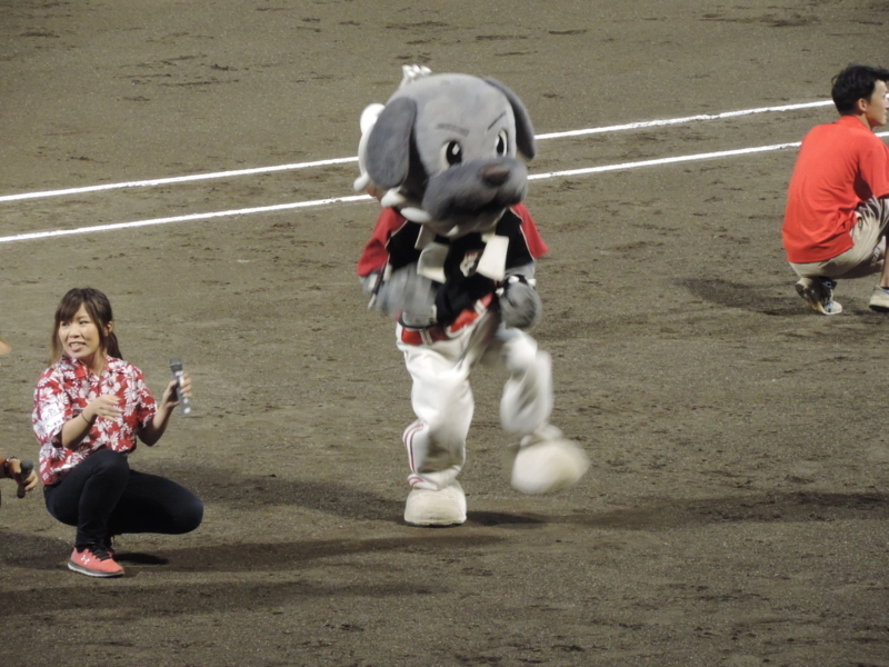 f:id:minato920:20170821064040j:plain