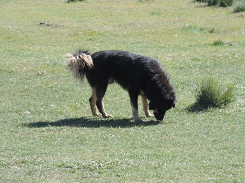 f:id:minato920:20170927230004j:plain f:id:minato920:20170927230004j:plain