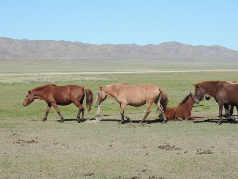 f:id:minato920:20170927230010j:plain f:id:minato920:20170927230010j:plain