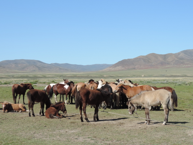 f:id:minato920:20170927230012j:plain f:id:minato920:20170927230012j:plain