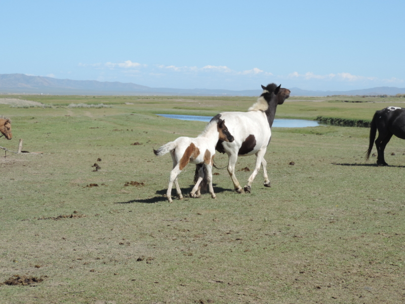 f:id:minato920:20171004070049j:plain f:id:minato920:20171004070049j:plain